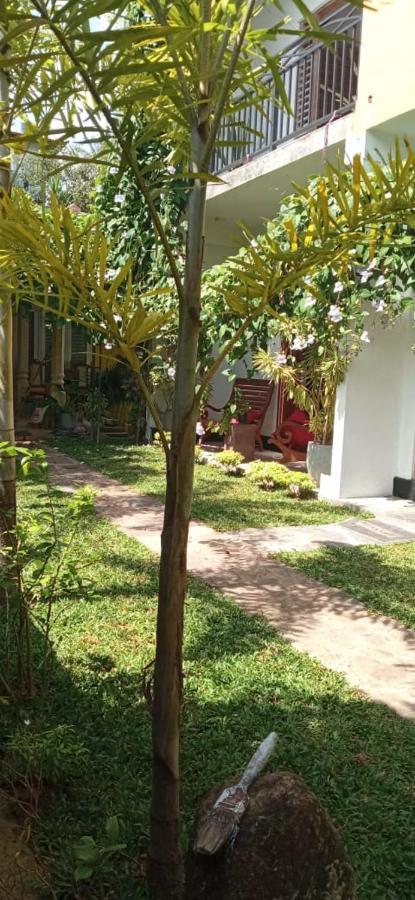 히카두와 Mandara Rest B&B 외부 사진