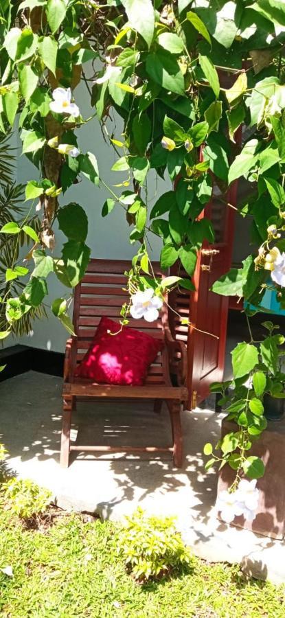 히카두와 Mandara Rest B&B 외부 사진