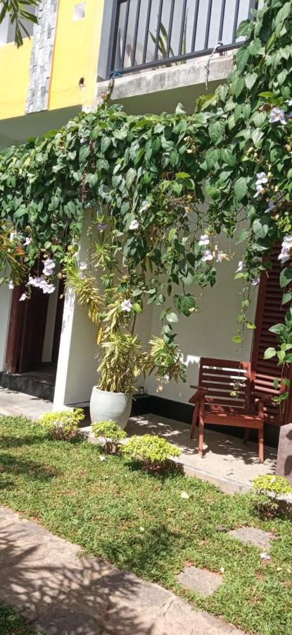 히카두와 Mandara Rest B&B 외부 사진