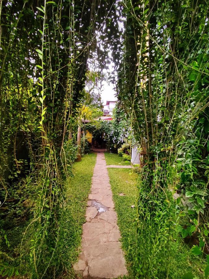 히카두와 Mandara Rest B&B 외부 사진
